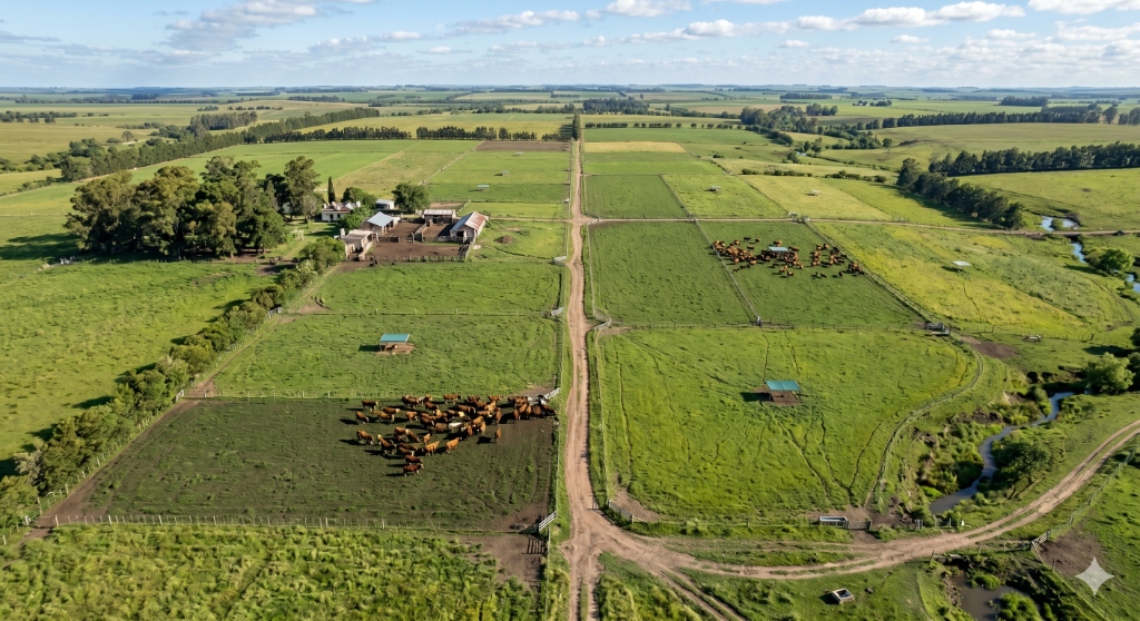 Campo ganadero desde el aire